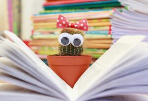 Just how to Study in Turkey free of cost