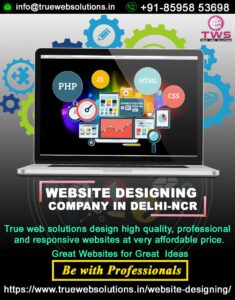 Best Website Designing Company In Delhi | True Web Solutions