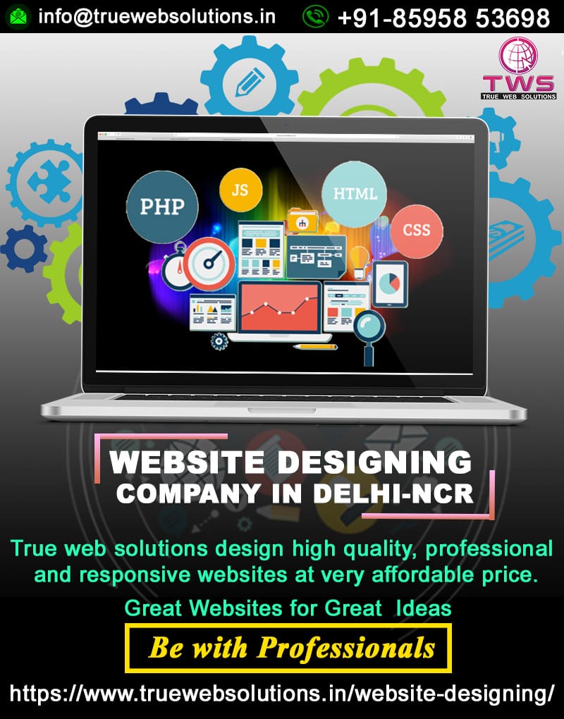 Best Website Designing Company In Delhi | True Web Solutions