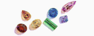 Turquoise – The Precious Gemstone