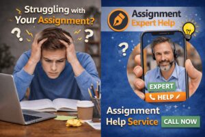Trusted Corporate Accounting Assignment Help Online